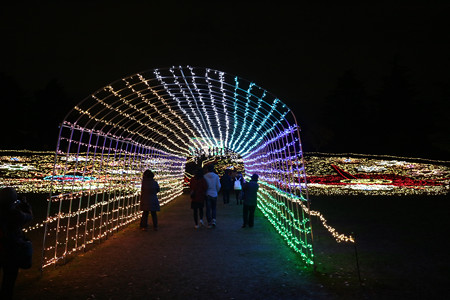 国営昭和記念公園　Winter　Vista　Illumination12