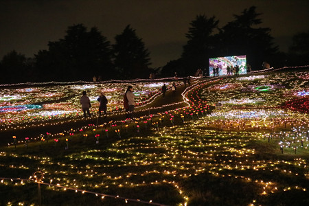 国営昭和記念公園　Winter　Vista　Illumination14