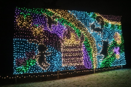 国営昭和記念公園　Winter　Vista　Illumination22