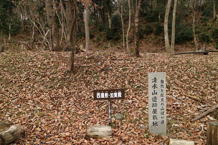 清水山城 (6)