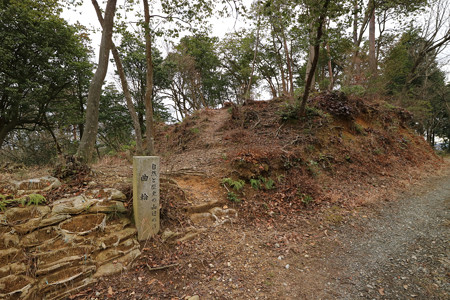 清水山城 (12)