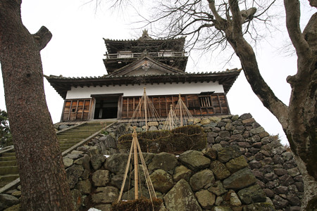 丸岡城 (2)