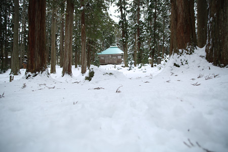 平泉寺白山神社 (6)