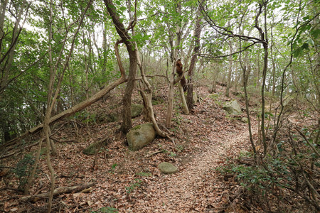 明禅寺城