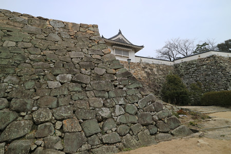 岡山城 (1)