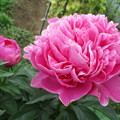 Photos: 謙遜