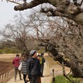 KORAKUEN