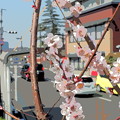 KORAKUEN