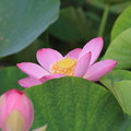 KORAKUEN