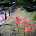 KORAKUEN