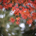 KORAKUEN