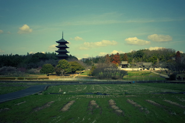 KIBIJI