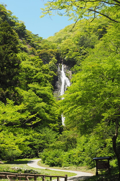 Photos: 神庭の滝