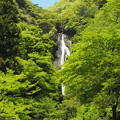 Photos: 神庭の滝