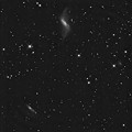 Photos: NGC660とUGC1195