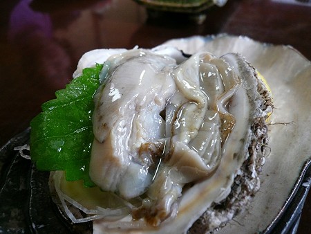 P1030046