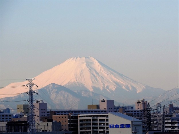 朝の新幹線車窓の富士山 なすの号大宮～上野 にて