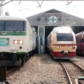 185系「はまかいじ」とE653系特急色・485系「宴」