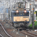 EF64 1022原色機