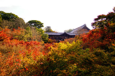 東福寺-1