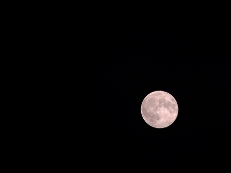 DSCF4085