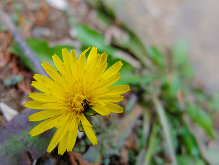 DSCF5716