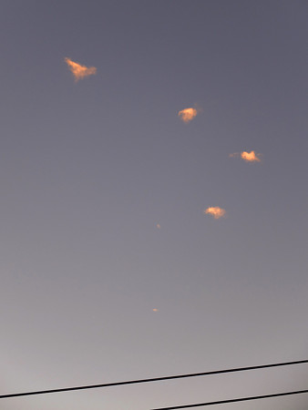 DSCF5648
