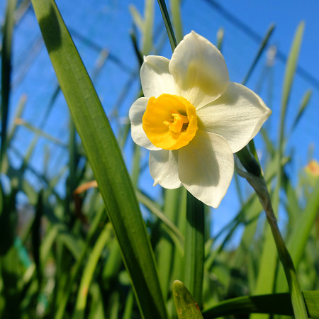 DSCF8173