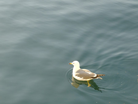 DSCF0332