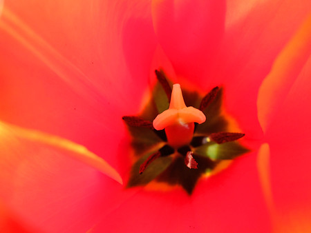 DSCF3481