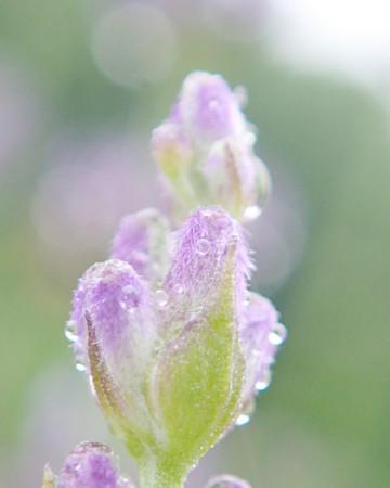 P6110063
