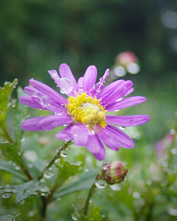 P6200055