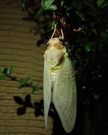 P7300037