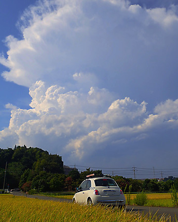 P8310039