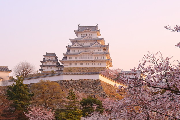 明ける白鷺城
