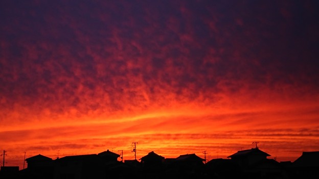 今日の夕焼け