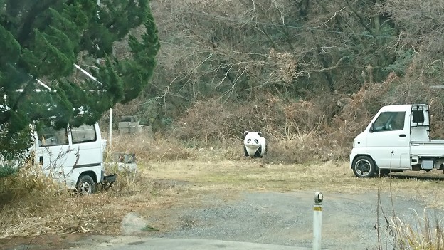 視線