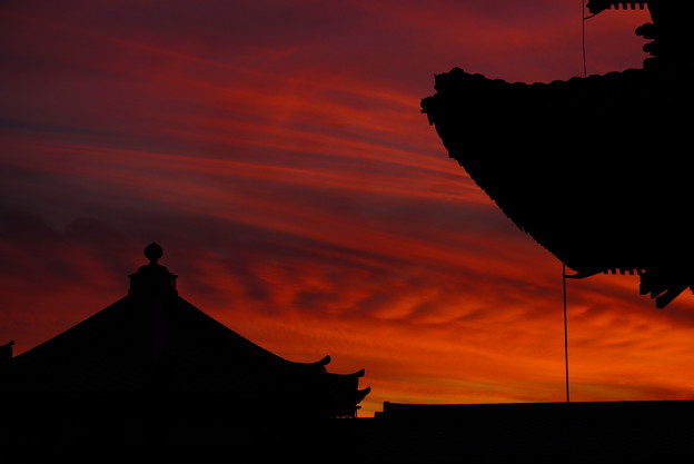 Photos: 夕焼け空の切り絵 11
