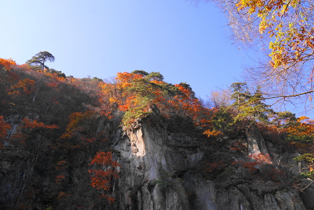 181111_F08_渓谷の様子・S18200・α60(吹き割の滝)(11)
