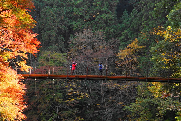 181116_14_氷川小橋と人影・S18200・α60(多摩川)(35)