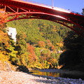 Photos: 181115_18_昭和橋方面の様子・S18200・α60(氷川渓谷) (5)