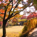 Photos: 181128_01_庭園の様子・S18200・α60(殿ヶ谷庭園) (290)