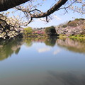 190402_11M_スローで桜を・S18299(三つ池) (90)