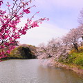 Photos: 190405_21M_名所の桜・S18200(三つ池) (10)