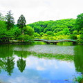 190614_11K_公園の様子・S18200(薬師池) (1)