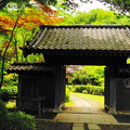 190614_02K_古民家辺りの様子・S18200(薬師池) (38)