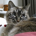 Photos: にゃに？