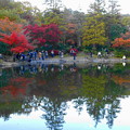 紅葉