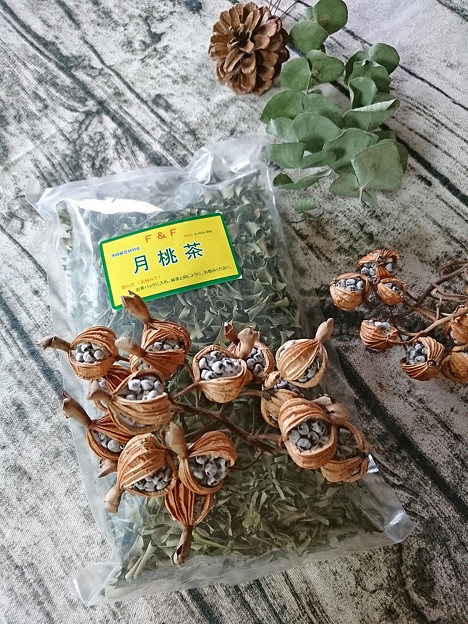 月桃茶と月桃の種