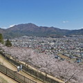 忠霊塔から見た景色